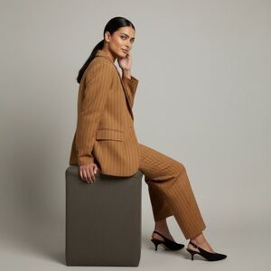 NWT $248 Madewell Women’s Oversized Blazer Brown Pinstripe Italian Fabric Sz 14